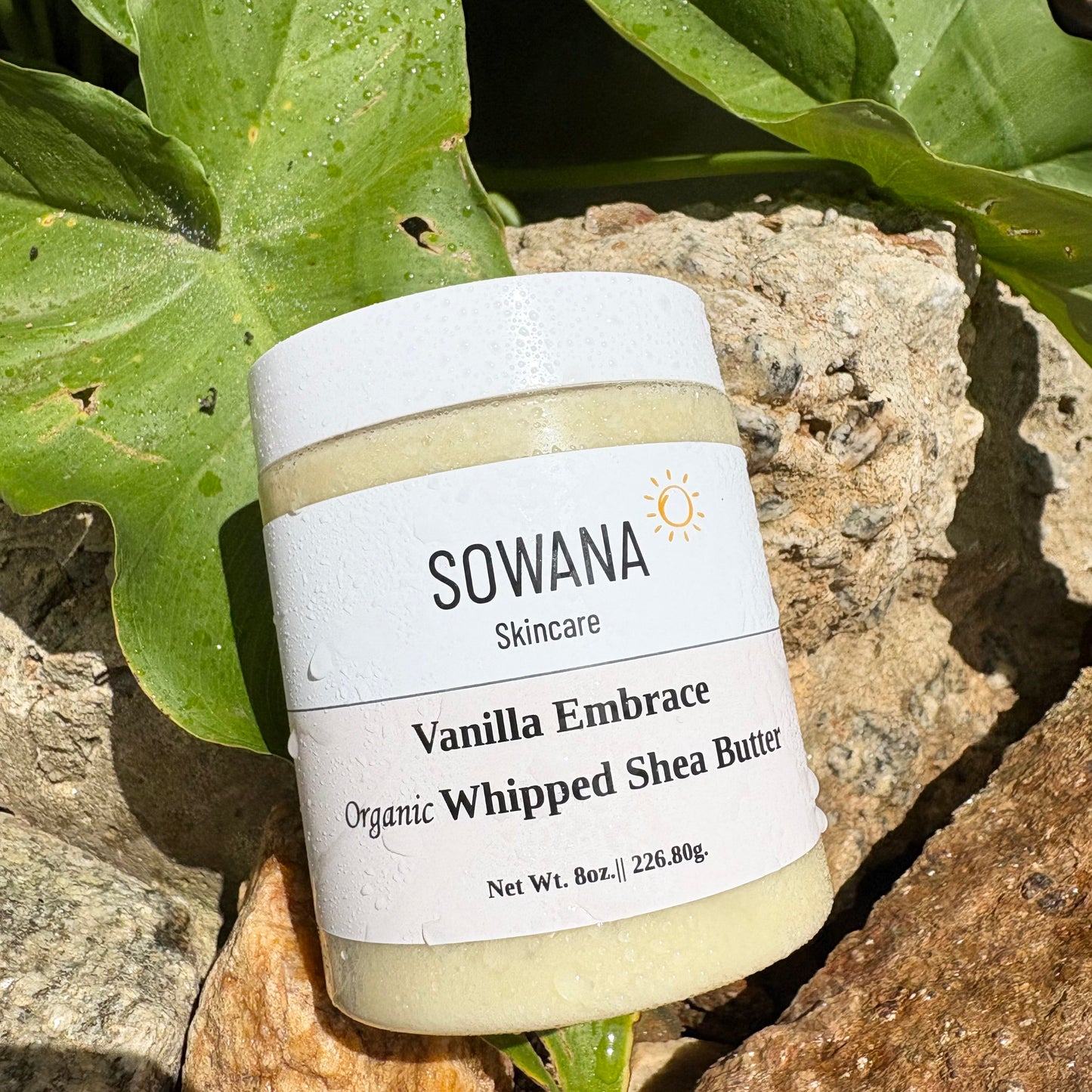 Vanilla Embrace Organic Whipped Body Butter