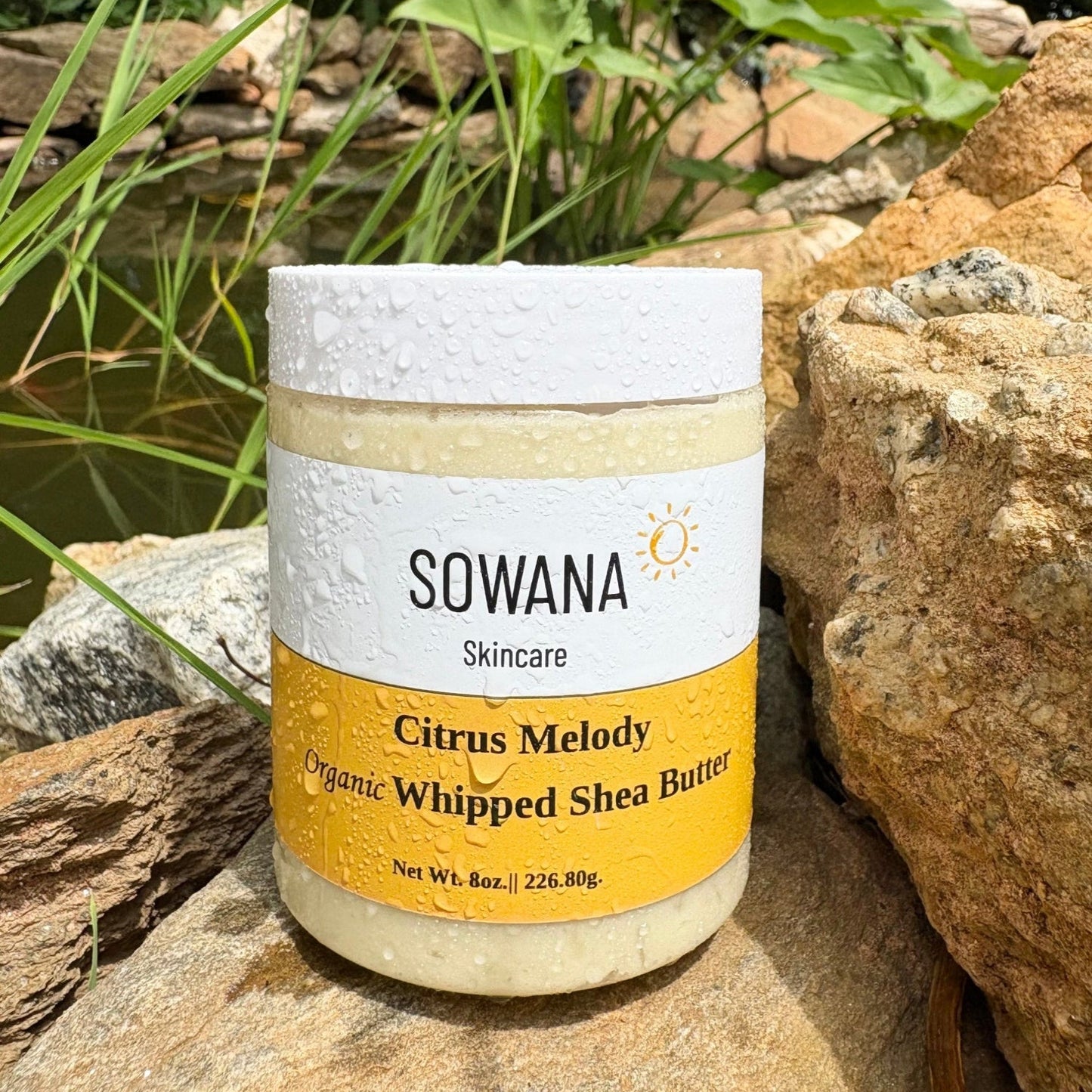 Citrus Melody Organic Whipped Body Butter