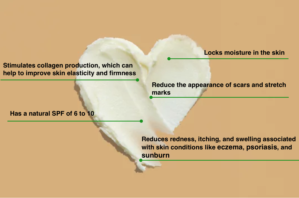 Vanilla Embrace Organic Whipped Body Butter
